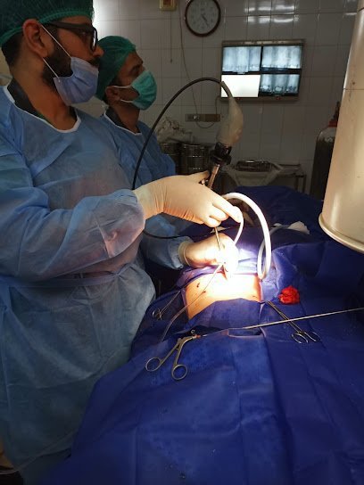 Urology Associates