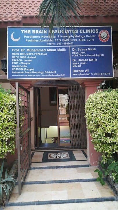 The Brain Associates