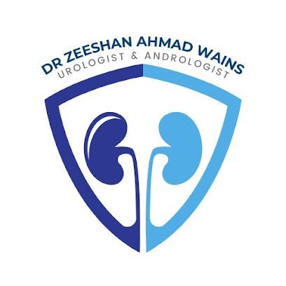 Dr. Zeeshan Ahmad Wains