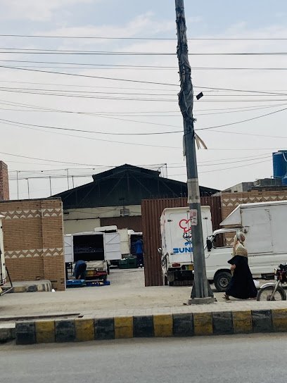 Hammad Choudhary House