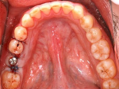 Dr. Ali Riaz