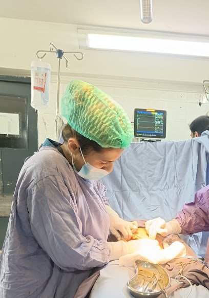 Dr Rabia Mehmood
