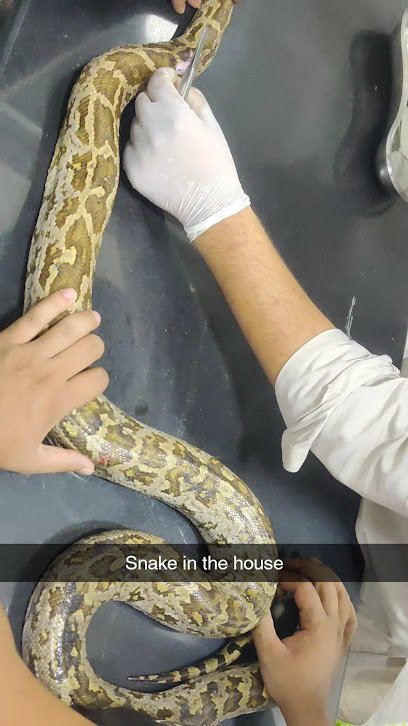 Home Vet Lahore