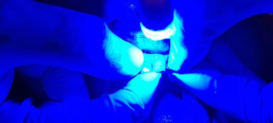 Dentist @ Home