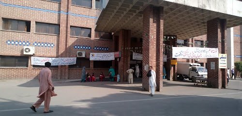 Cardiac Complex