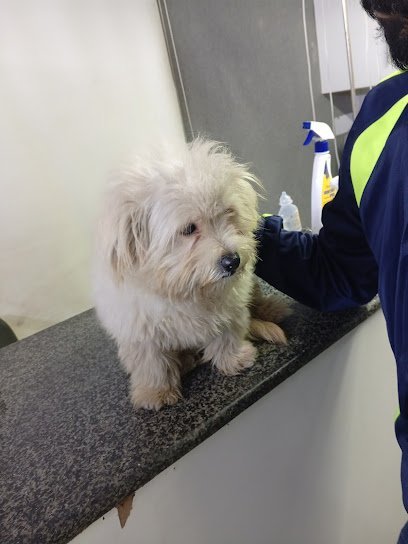 Pets Family Hospital