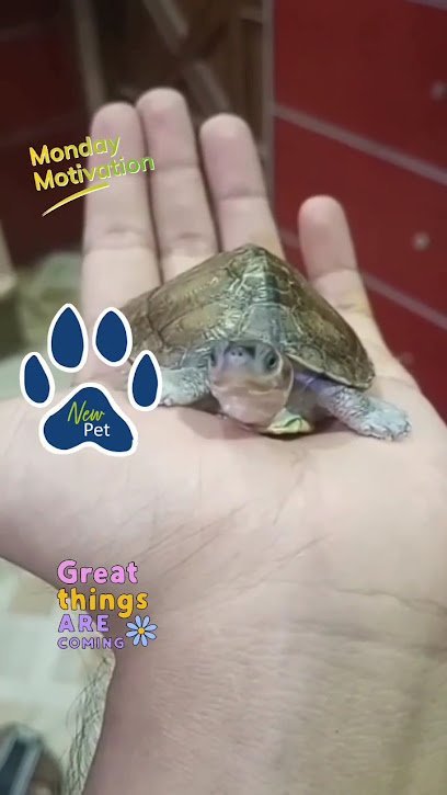 National Veterinary Clinic