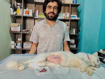Mousy Animal Clinic