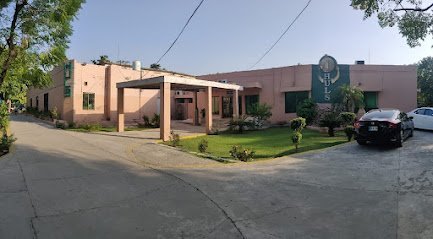 Huls (Hand & Upper Limbs Surgery Centre)