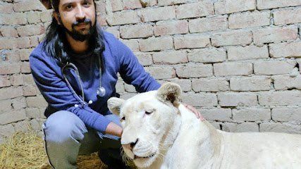Ali Veterinary Hospital