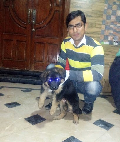 Adeel Pets Clinic