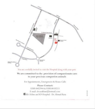 Feline And K9 Hospital