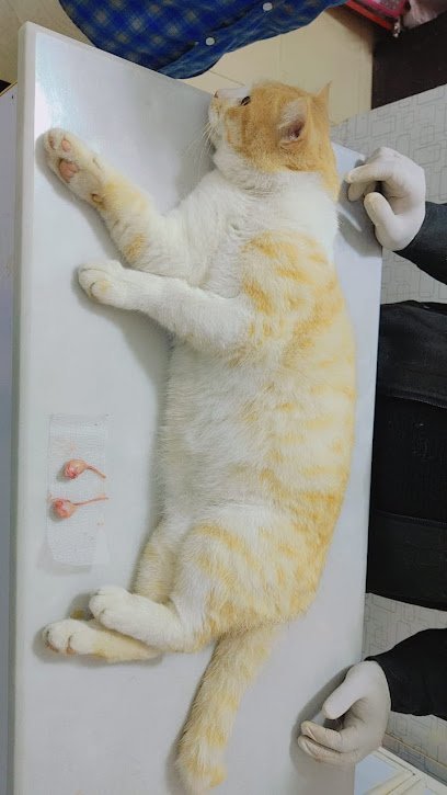 Salman Pets Clinic & Mart