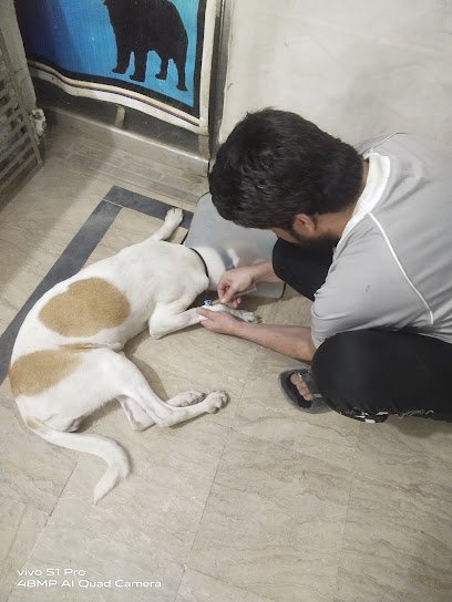General Veterinary Clinic