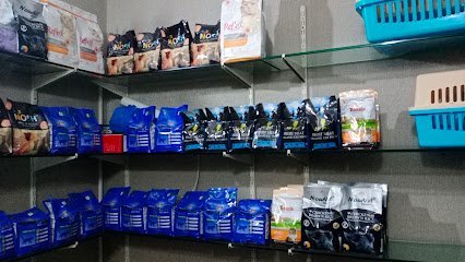 Wow Pets Clinic
