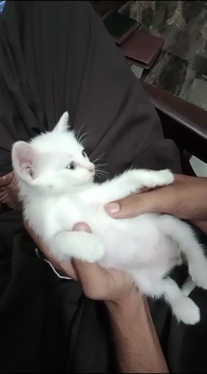 Lahore Pets Care Hospital