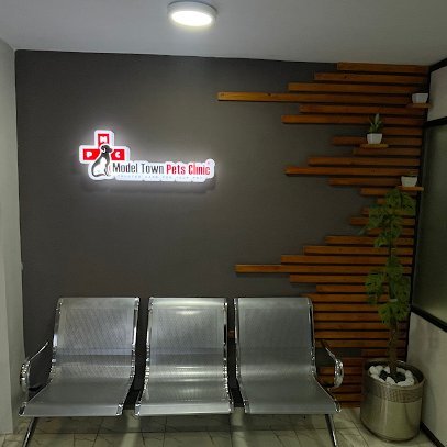 Model Town Pets Clinic