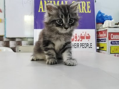 Animal Care Clinic