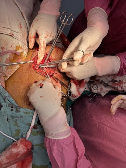 Vascular Surgery Lab