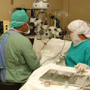 Dr. Asif Khokhar