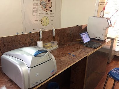 Molecular Medical Diagnostics Solutions & Research Centre
