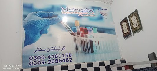 Molecular Medical Laboratory