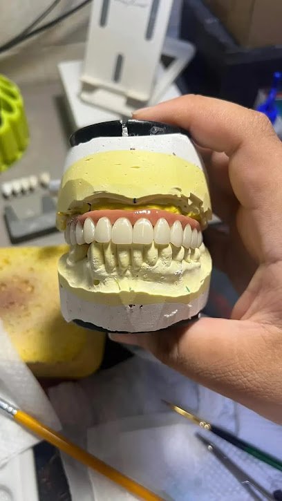 Professional Dental Lab
