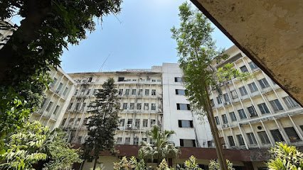 Asma Hamid Associates