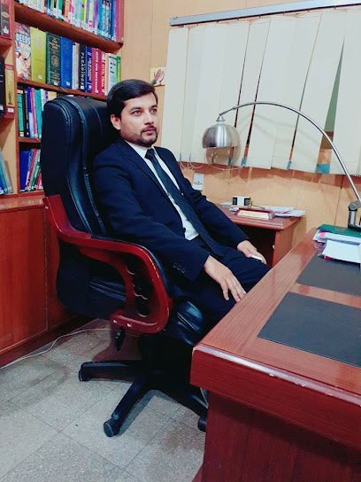 Commercial, Civil, Criminal And Business Consultant