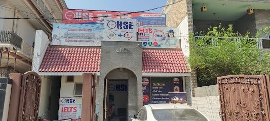 Hse Consultants