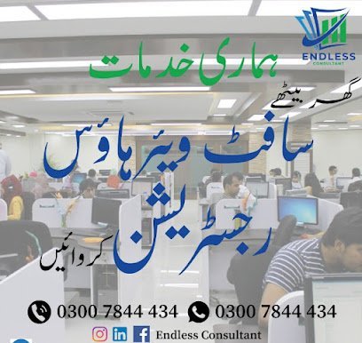Endless Consultant
