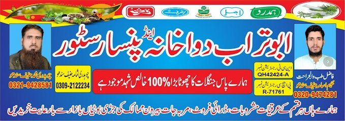 Abu Tarab Dawakhana And Pansaar Store