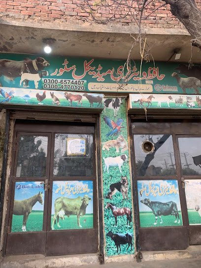 Hafiz Veterinary Medical And Pansar Store