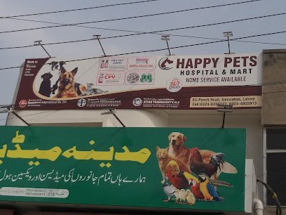Madina Medicose Lahore