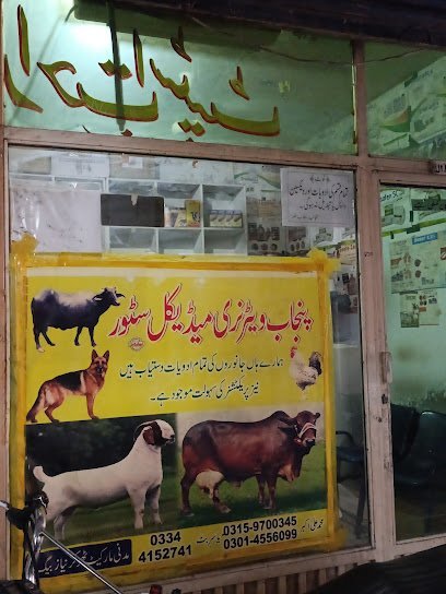 Punjab Veterinary Medical Store