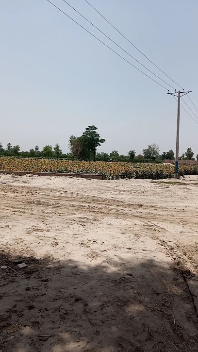 Au Solar Solution (Pvt). Ltd