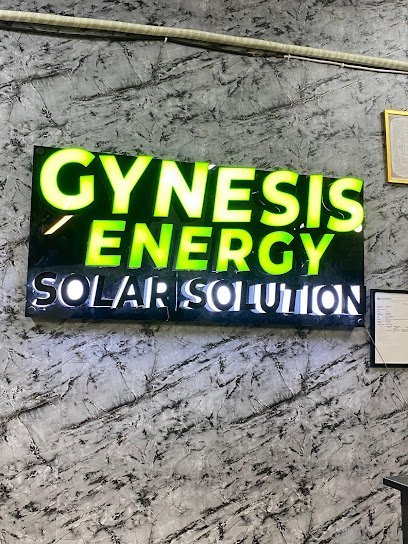 Gynesis Energy