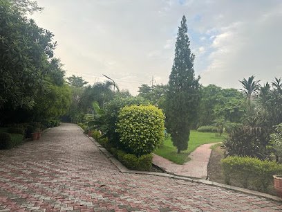 Iconic Wedding Lawn