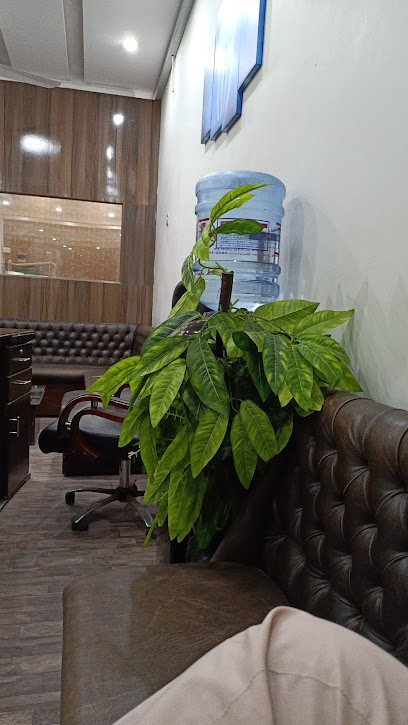 The Dental Practice
