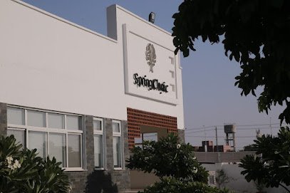 Spring Clinic-Institute Of Psychiatry