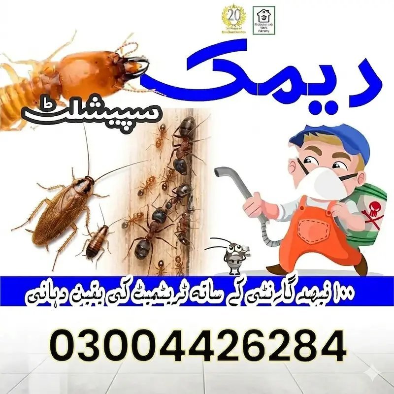 Termite Control & Pest Control