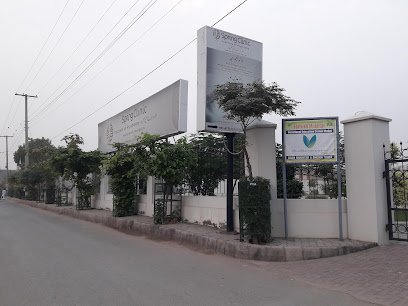 Mental Health Association