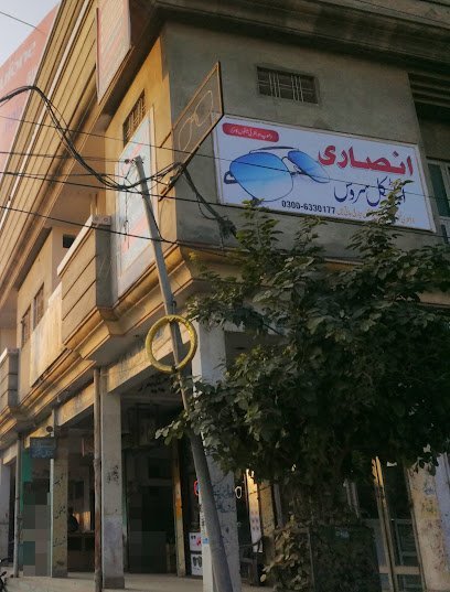 Ansari Optical Service