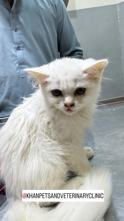 Khan Pets & Veterinary Clinic