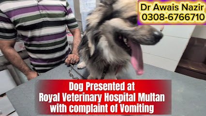Royal General Veterinary Hospital