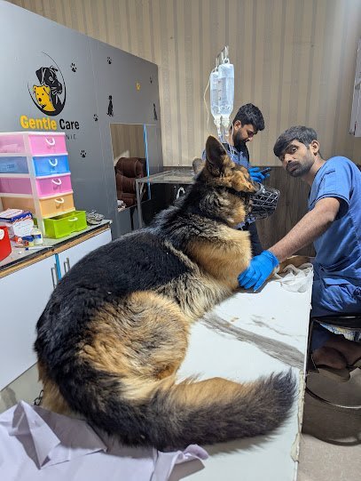 Gentle Care Pets Clinic