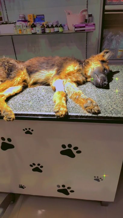 Healthy Paws And Care Pet Clinic