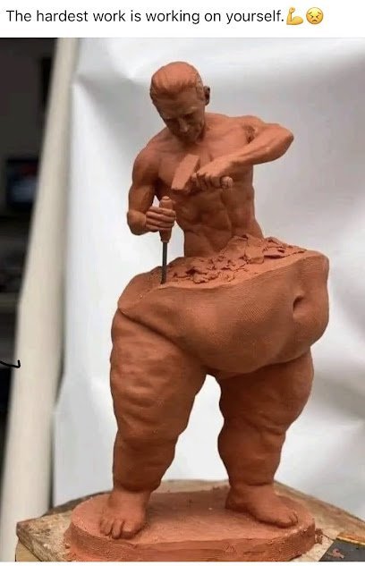 Fit Focus 2