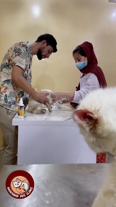 Hayatabad Pets Clinic & Grooming Centre