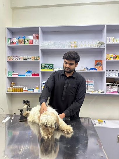 Dr. Umer Pet'S Clinic